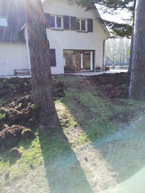 abattage arbre gallardon